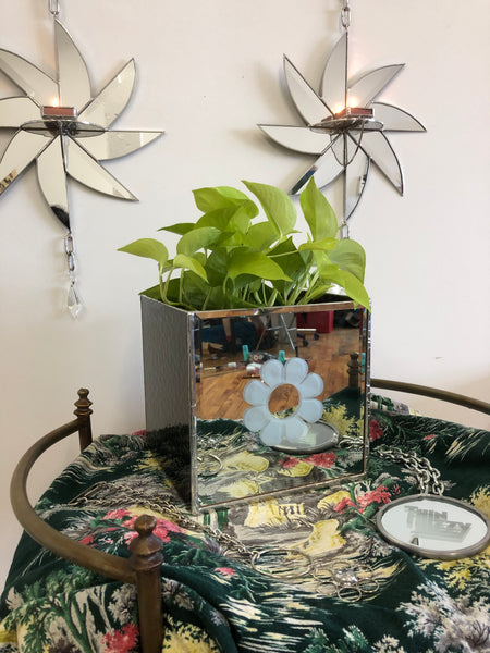 Daisy mirrored planter